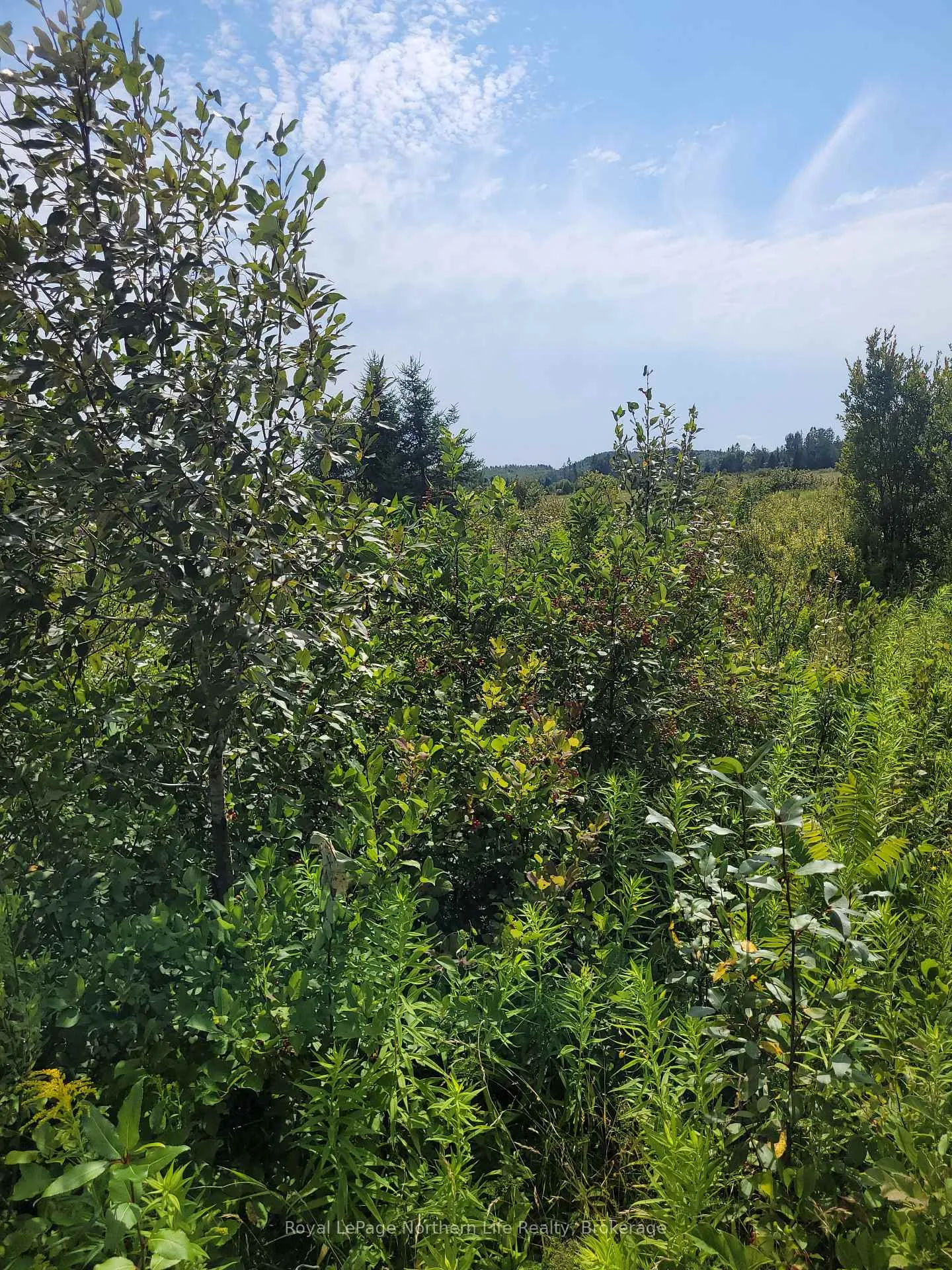Photo 1 of 303 Talon Crescent W, Bonfield — HOMEH