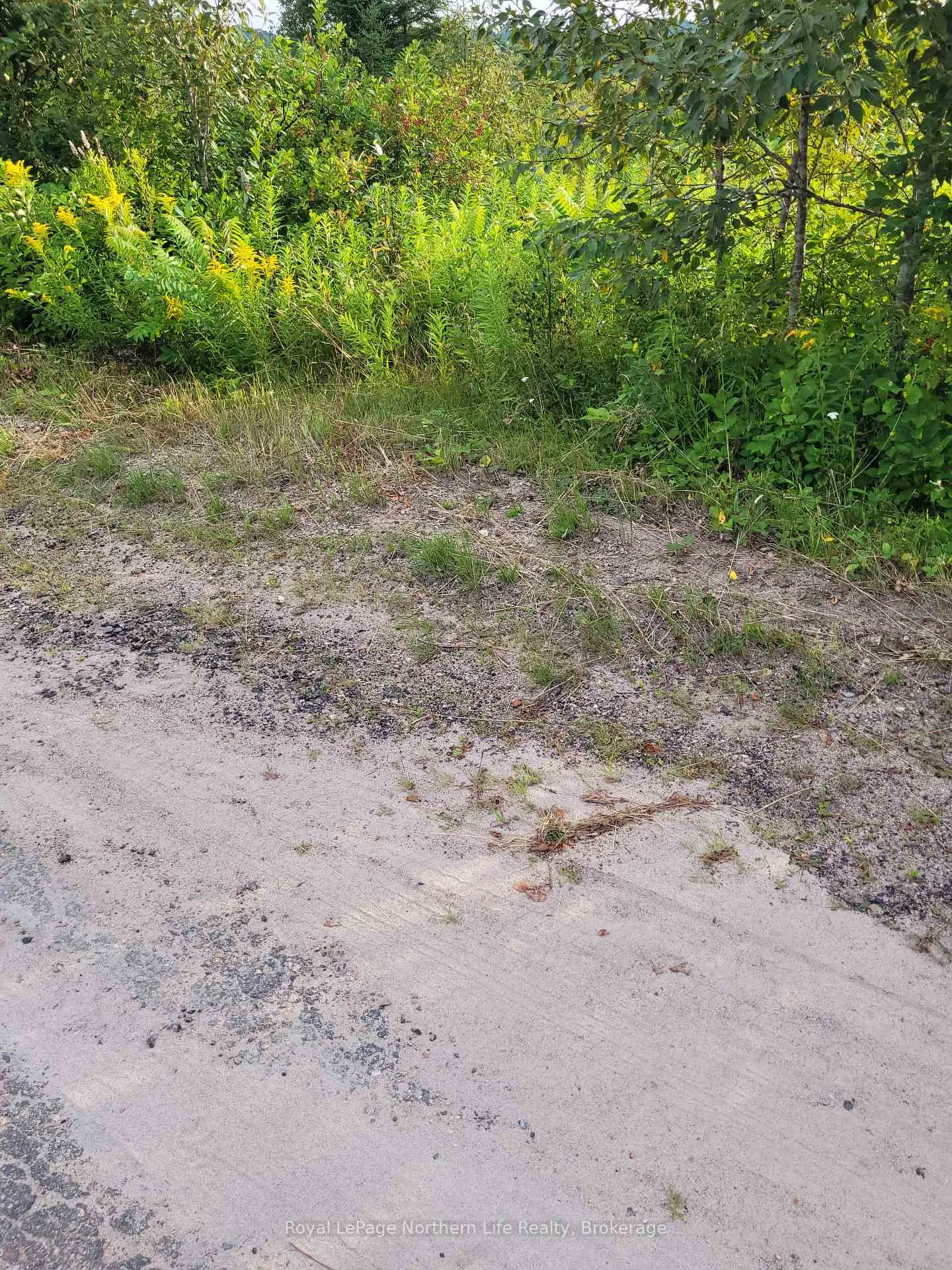 Photo 3 of 303 Talon Crescent W, Bonfield — HOMEH