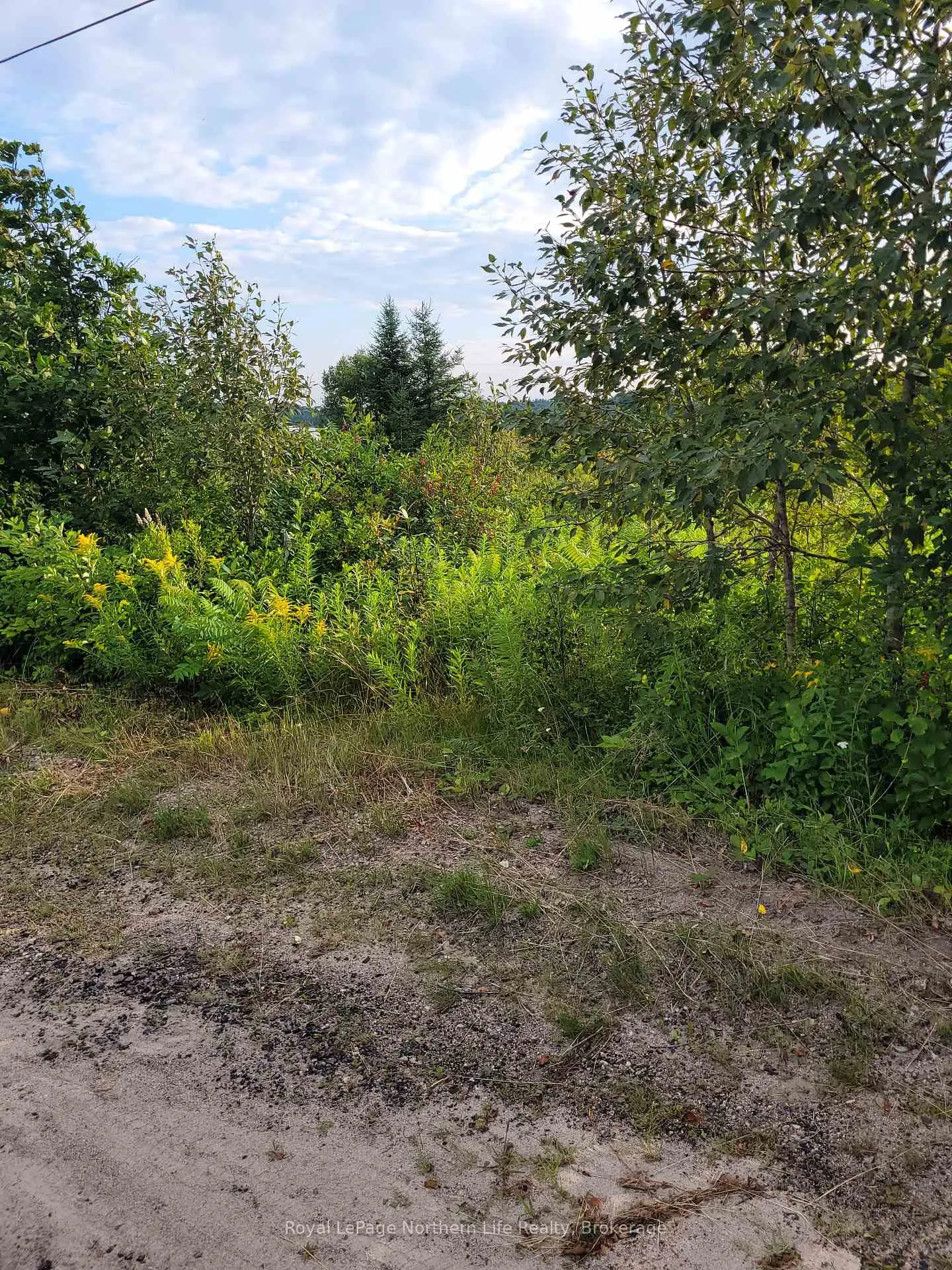 Photo 4 of 303 Talon Crescent W, Bonfield — HOMEH
