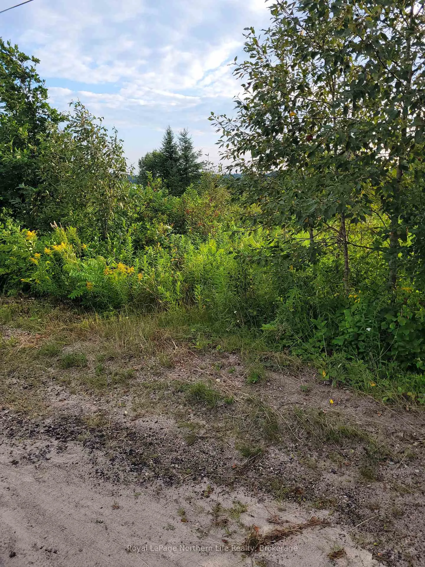 Photo 5 of 303 Talon Crescent W, Bonfield — HOMEH