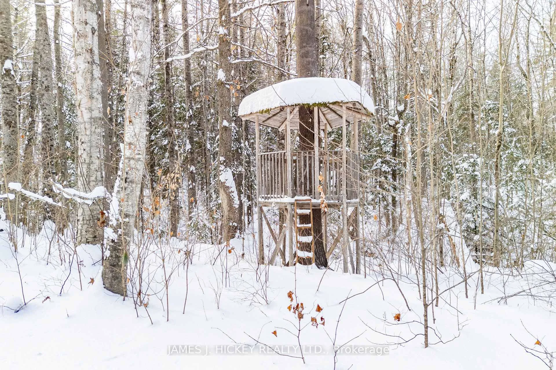 Photo 46 of 120 Wylie Road, Deep River — HOMEH
