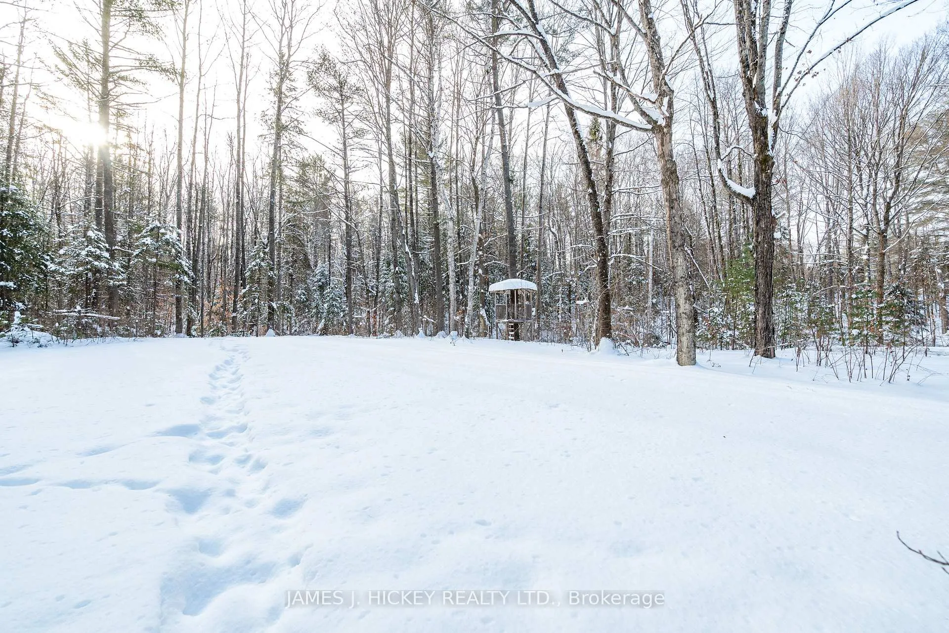 Photo 48 of 120 Wylie Road, Deep River — HOMEH