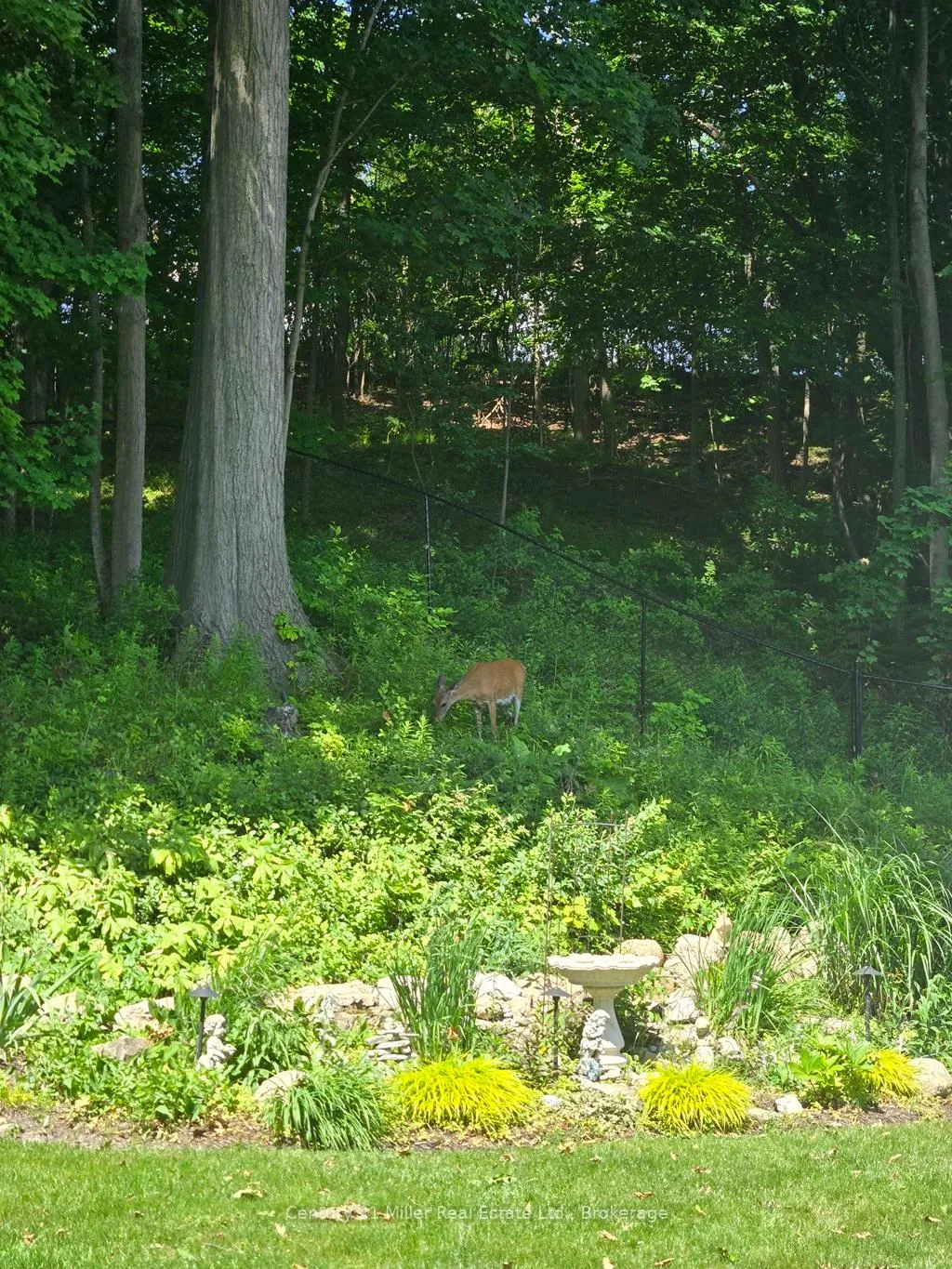 Photo 50 of 12 Barrington Court, Hamilton, Dundas — HOMEH