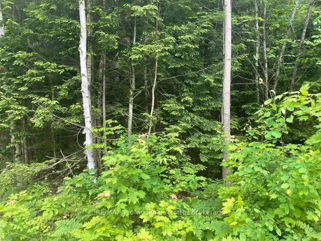 Photo 1 of Big Hawk Lake Road, Algonquin Highlands, Stanhope — HOMEH