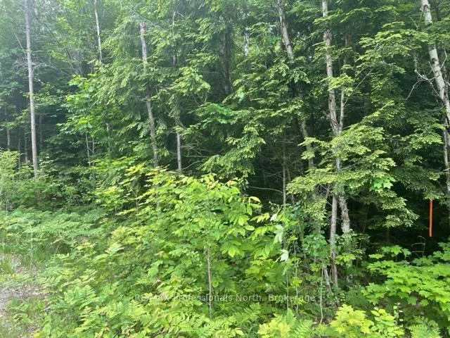Photo 2 of Big Hawk Lake Road, Algonquin Highlands, Stanhope — HOMEH