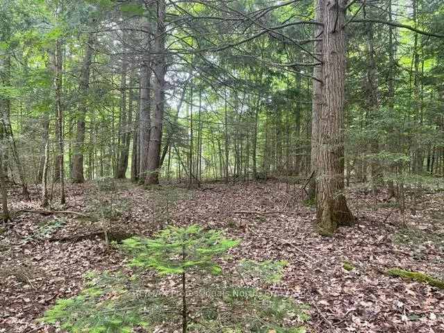 Photo 7 of Big Hawk Lake Road, Algonquin Highlands, Stanhope — HOMEH