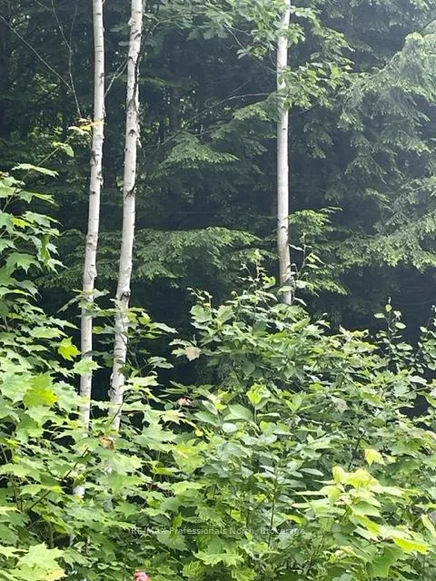 Photo 10 of Big Hawk Lake Road, Algonquin Highlands, Stanhope — HOMEH