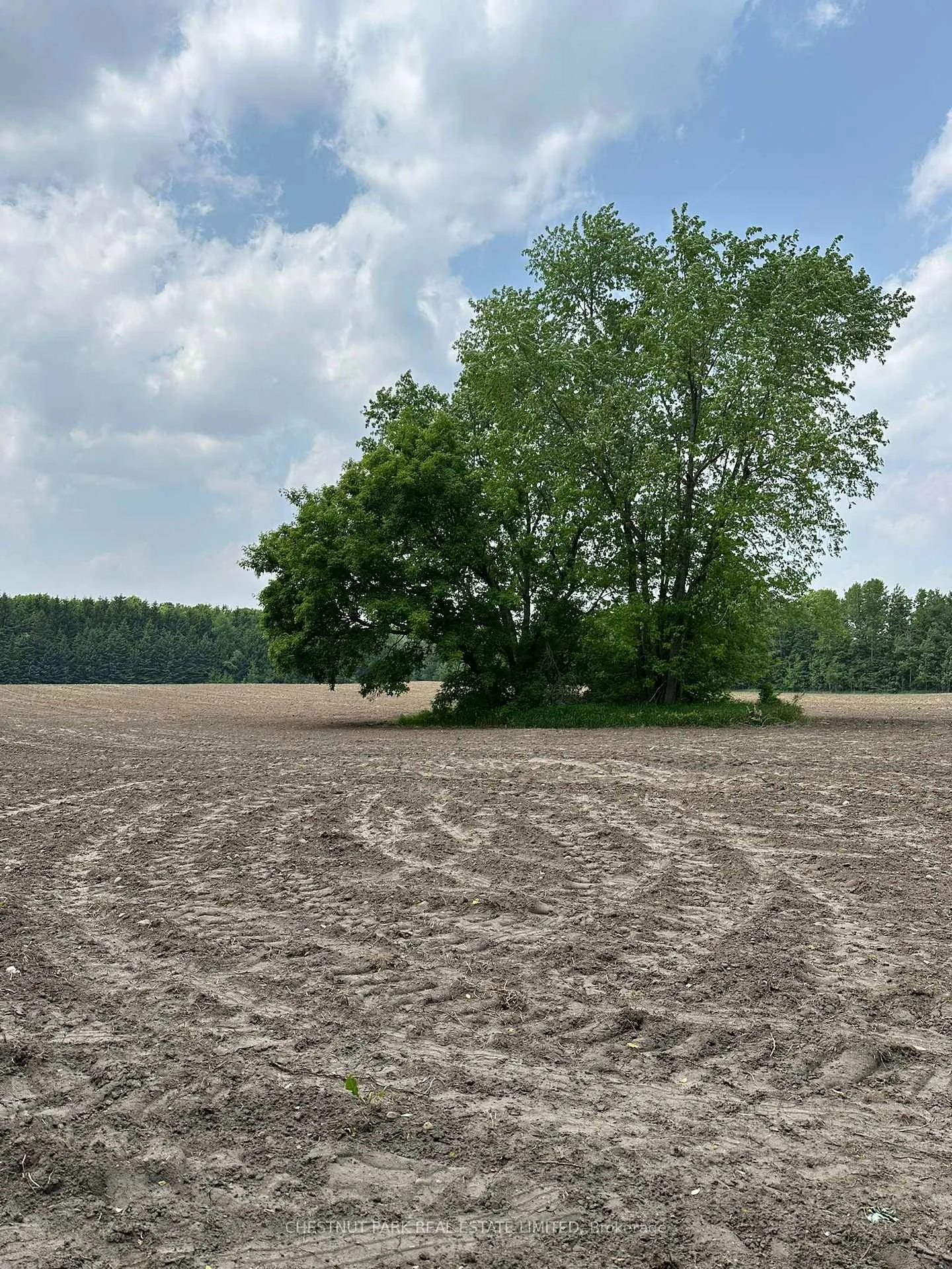 Photo 1 of Parcel 6 1st Line EHS, Mono, Rural Mono — HOMEH