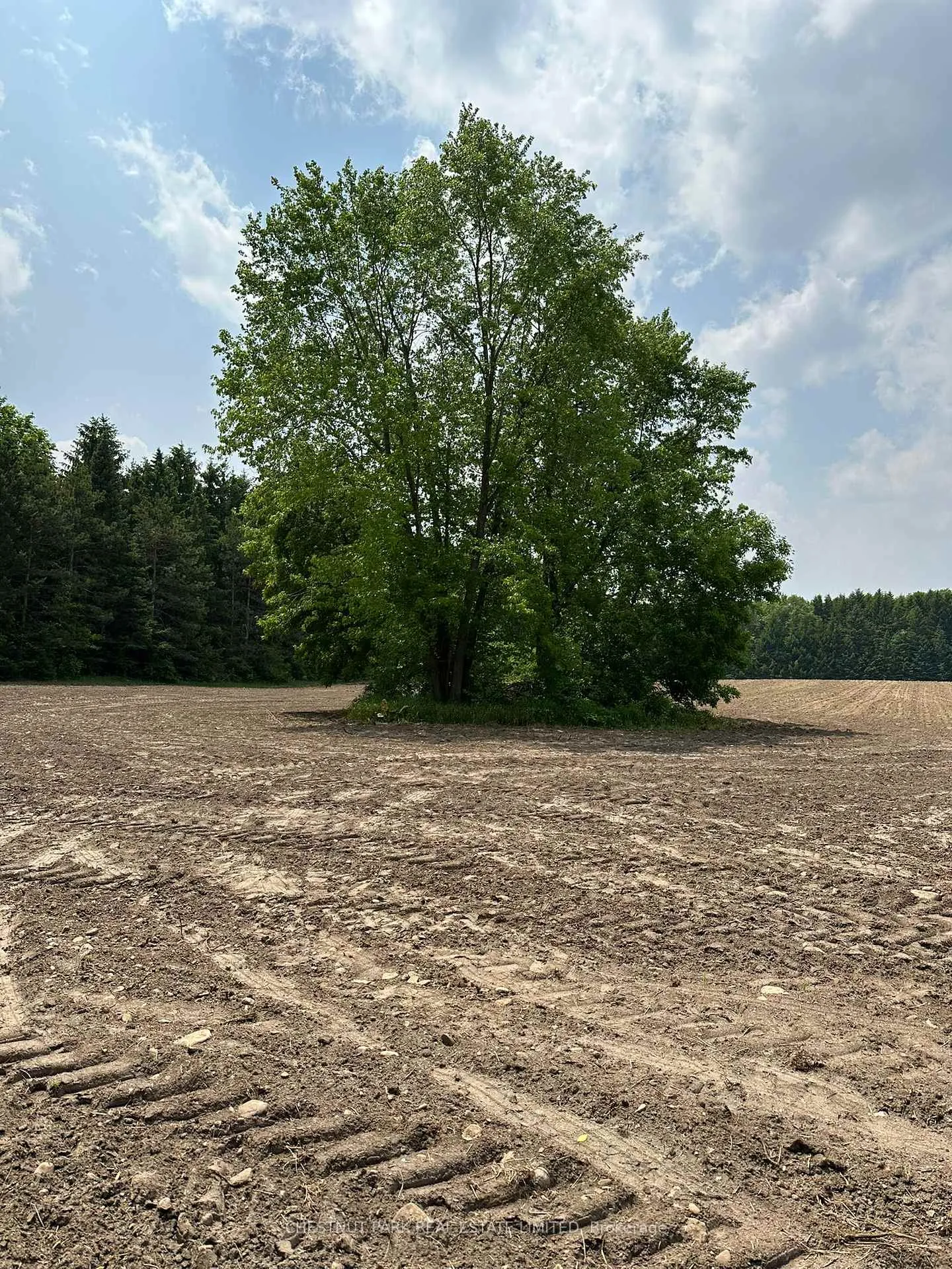 Photo 2 of Parcel 6 1st Line EHS, Mono, Rural Mono — HOMEH