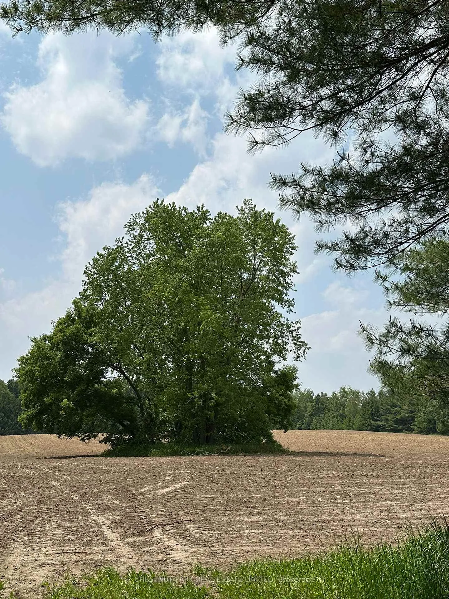 Photo 3 of Parcel 6 1st Line EHS, Mono, Rural Mono — HOMEH