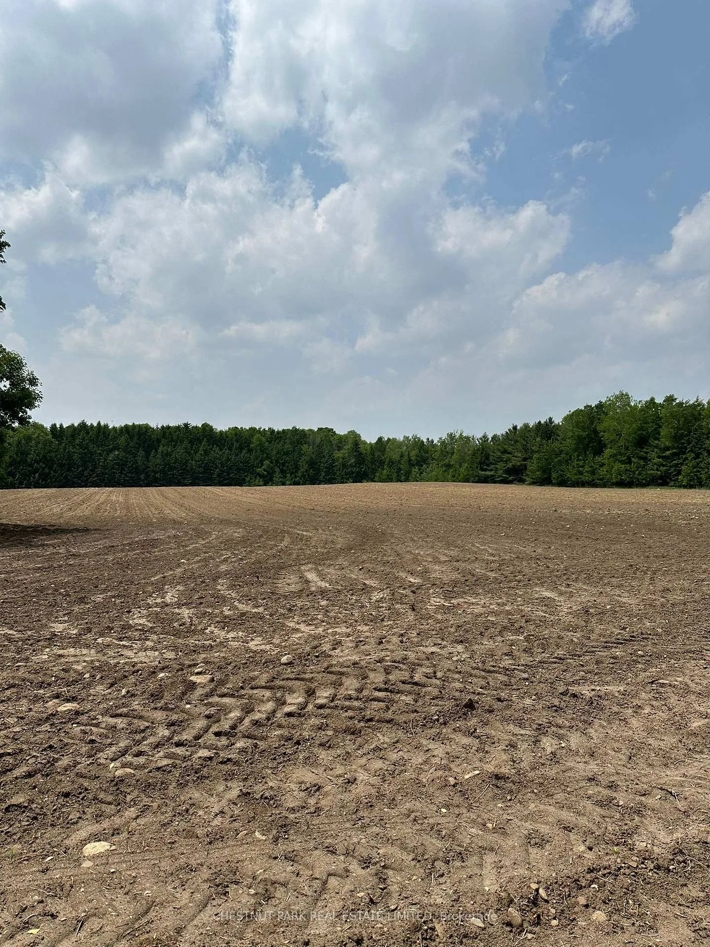Photo 4 of Parcel 6 1st Line EHS, Mono, Rural Mono — HOMEH
