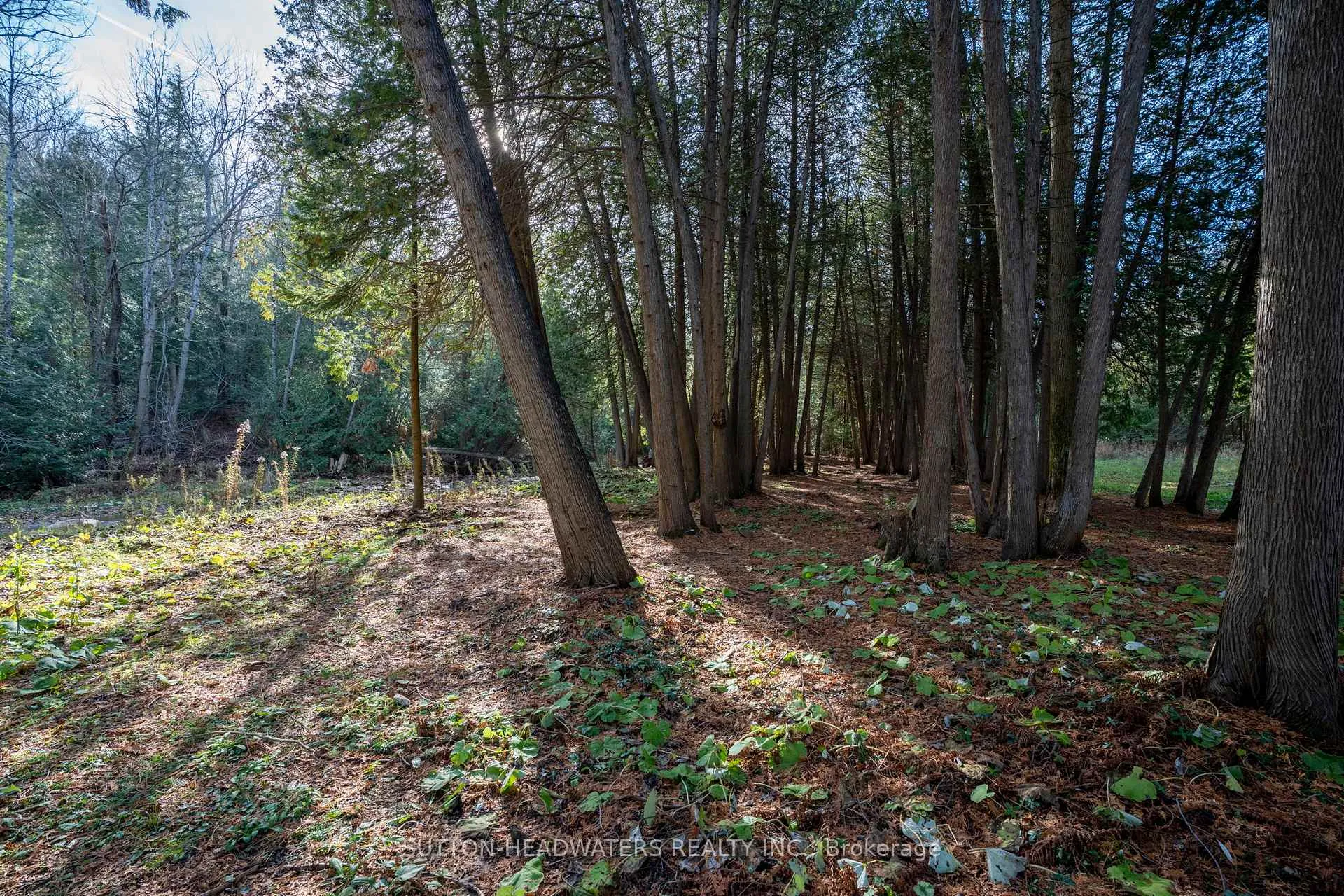 Photo 13 of 307246 Hockley Road, Mono, Rural Mono — HOMEH