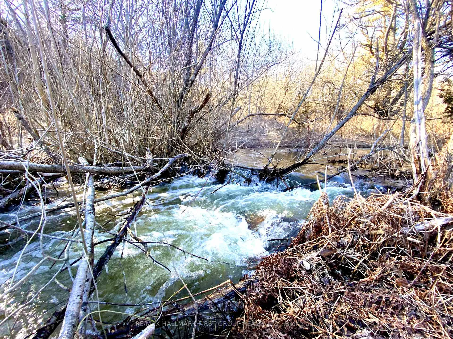 Photo 7 of Grandview Street N, Oshawa, Rural Oshawa — HOMEH