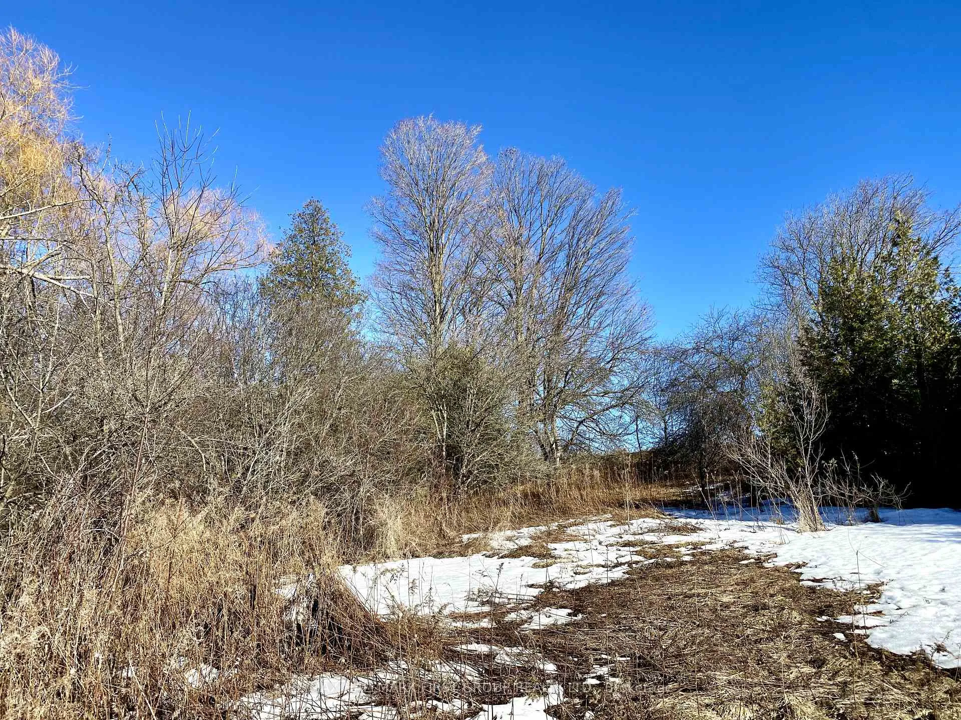 Photo 8 of Grandview Street N, Oshawa, Rural Oshawa — HOMEH