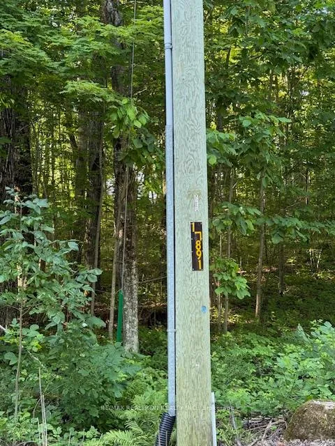 Photo 4 of Pt Lot 6 Concession 8 Sideroad 7A, Grey Highlands — HOMEH