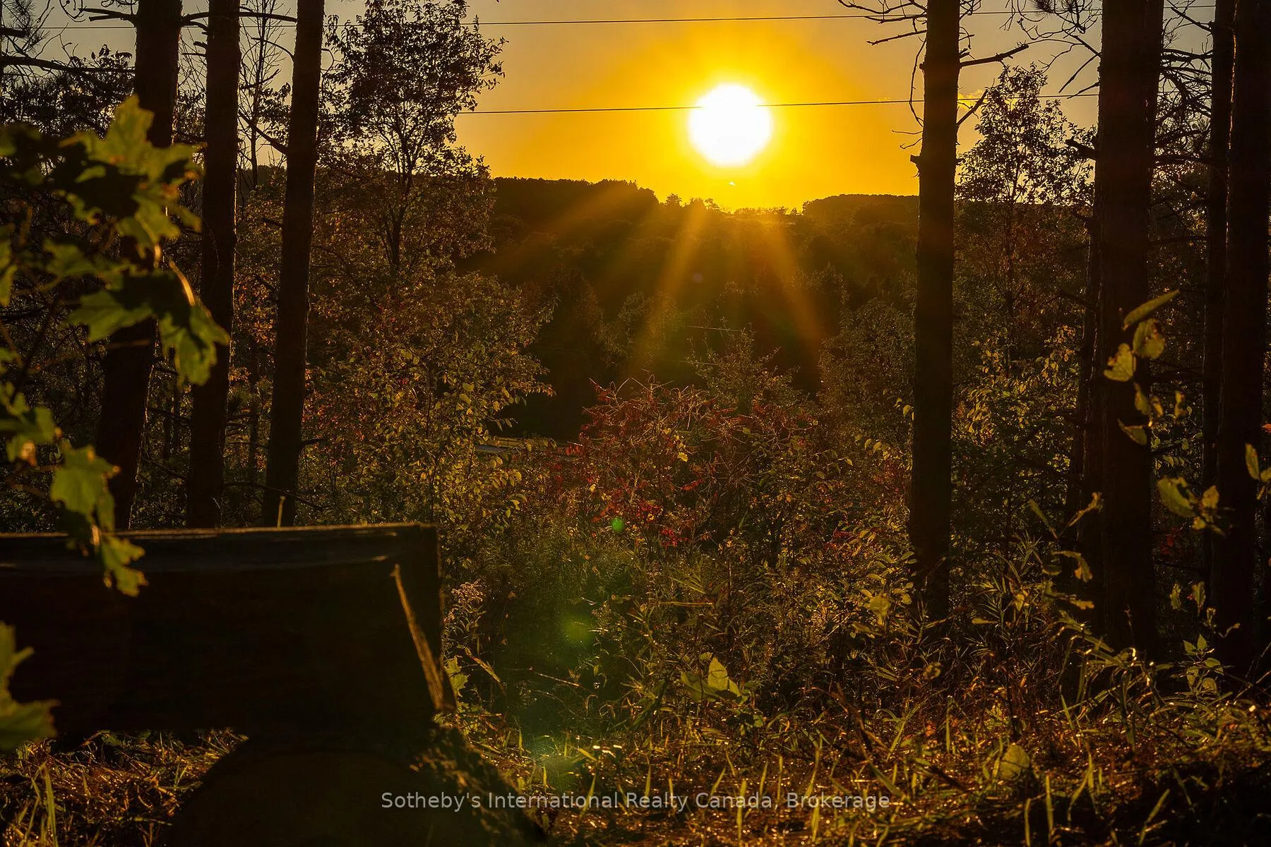 Photo 49 of 587318 10 Sideroad, Mulmur, Rural Mulmur — HOMEH