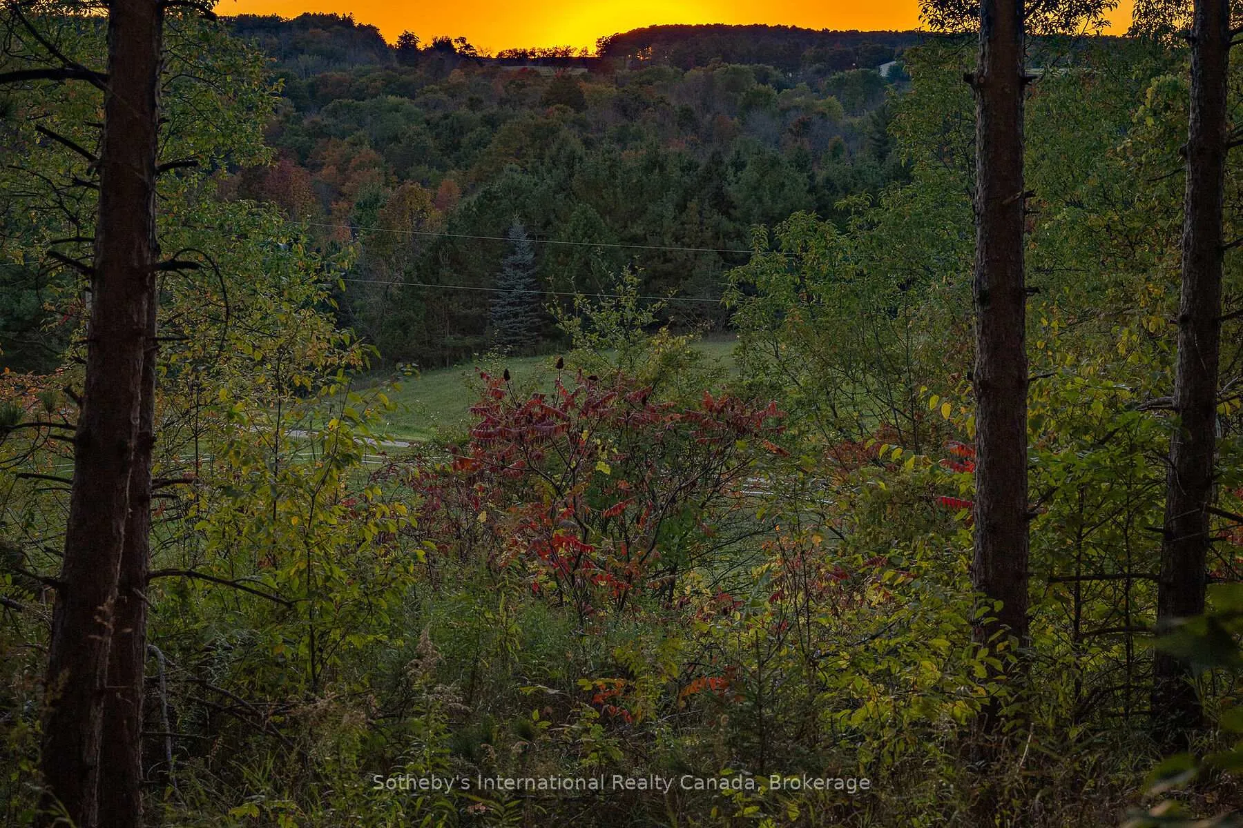 Photo 50 of 587318 10 Sideroad, Mulmur, Rural Mulmur — HOMEH