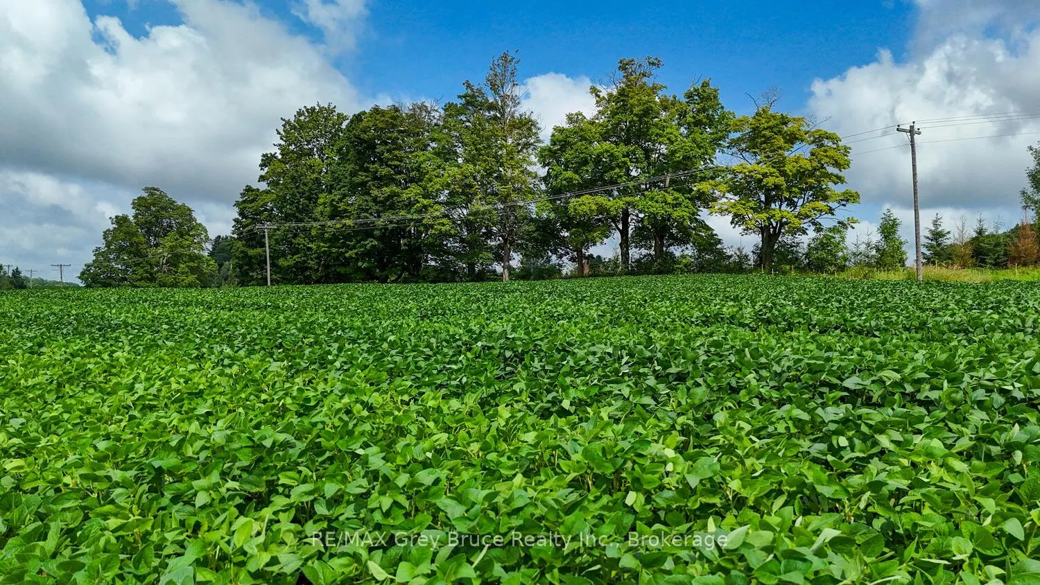 Photo 21 of 845258 Deviation Road, Grey Highlands — HOMEH