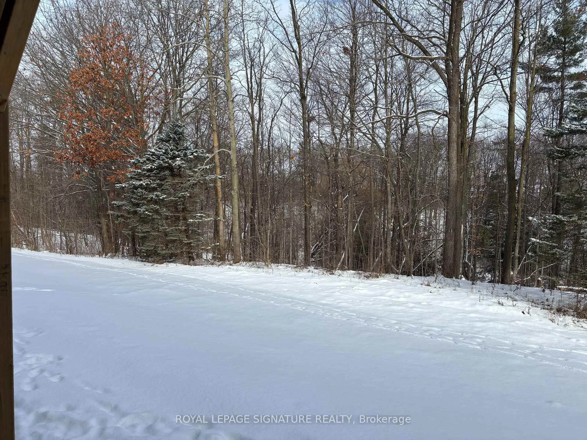 Photo 17 of 63 Folcroft Street, Brampton, Credit Valley — HOMEH