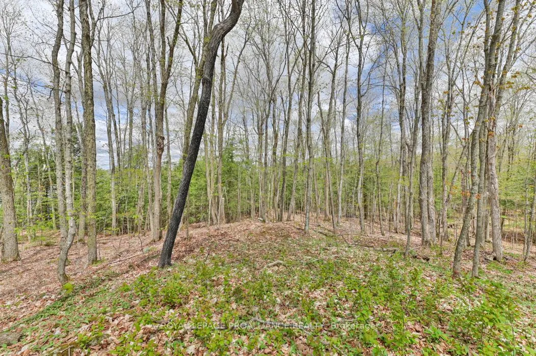 Photo 4 of 00 Austris Road, Frontenac, Frontenac North — HOMEH