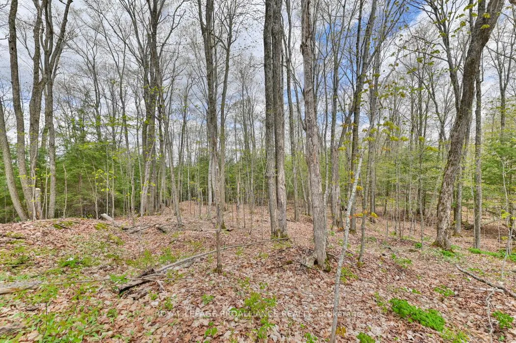 Photo 5 of 00 Austris Road, Frontenac, Frontenac North — HOMEH