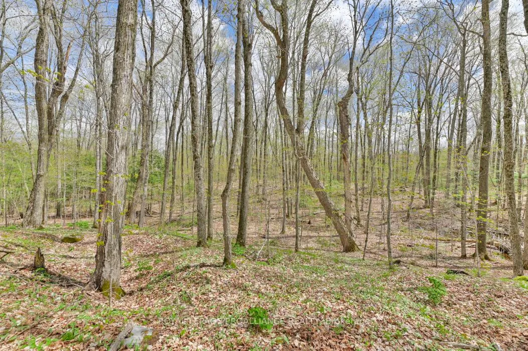 Photo 6 of 00 Austris Road, Frontenac, Frontenac North — HOMEH