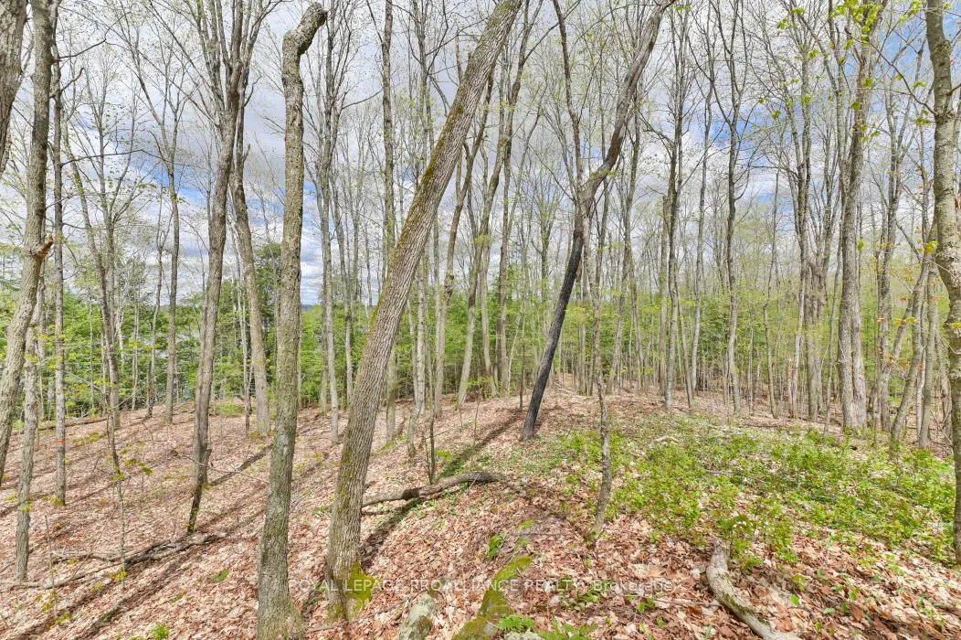 Photo 7 of 00 Austris Road, Frontenac, Frontenac North — HOMEH