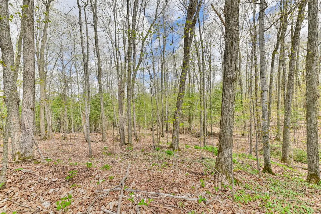 Photo 8 of 00 Austris Road, Frontenac, Frontenac North — HOMEH