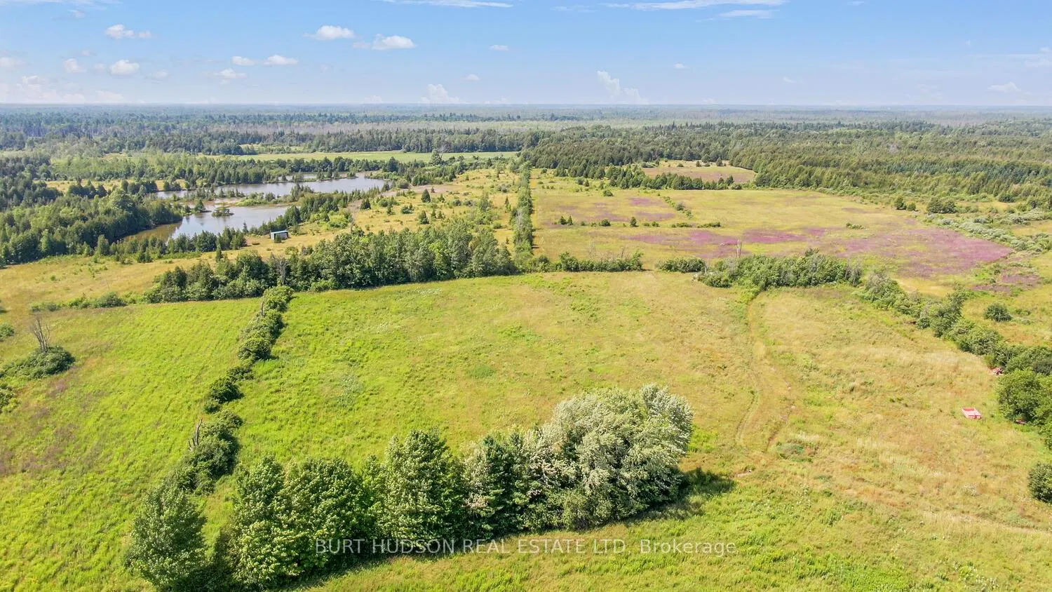Photo 7 of 10222 Land O' Nod Road, Augusta, Augusta Twp — HOMEH