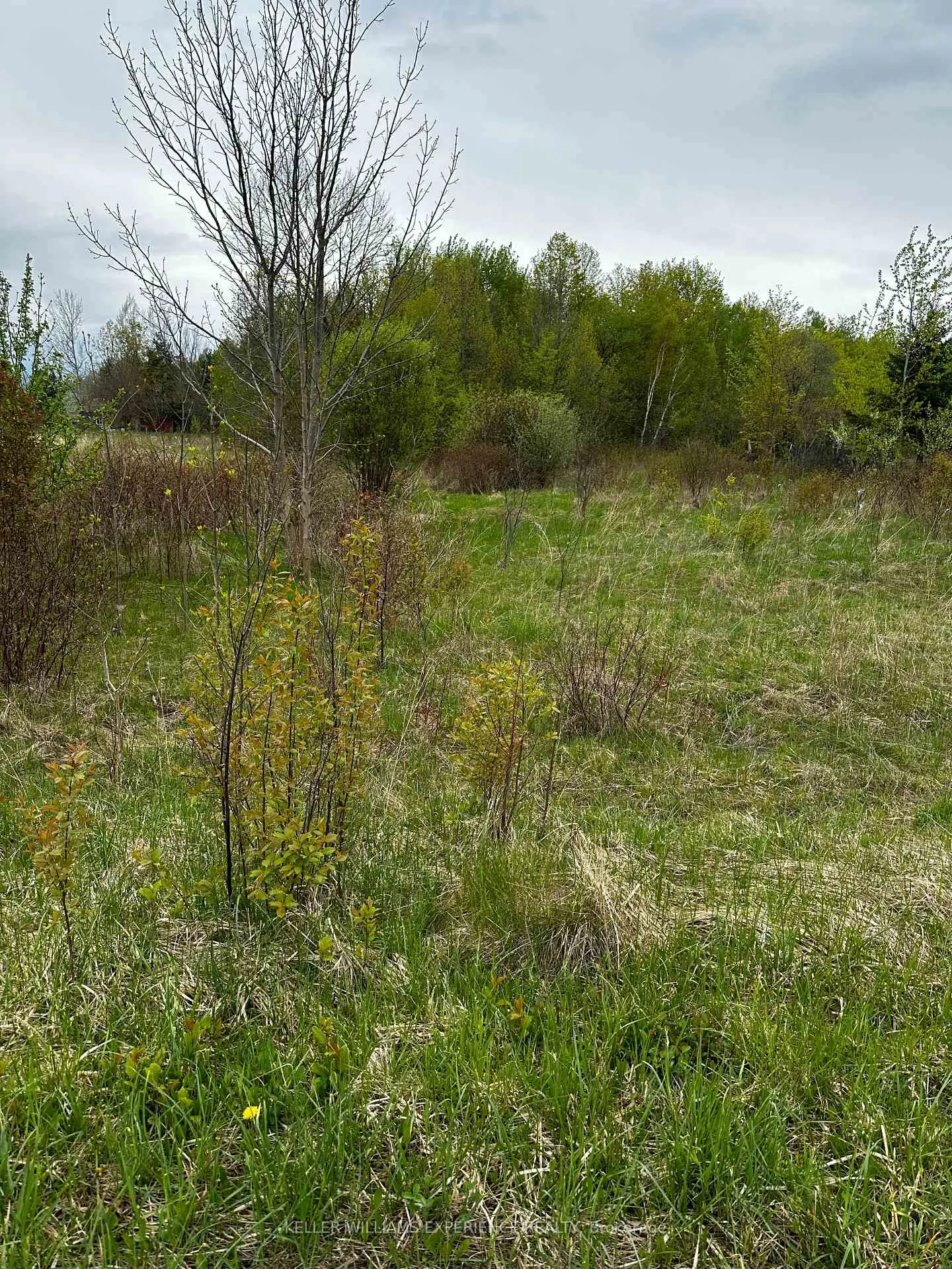 Photo 3 of PT 355 LT31 CON3 Nottawasaga, Clearview, Rural Clearview — HOMEH