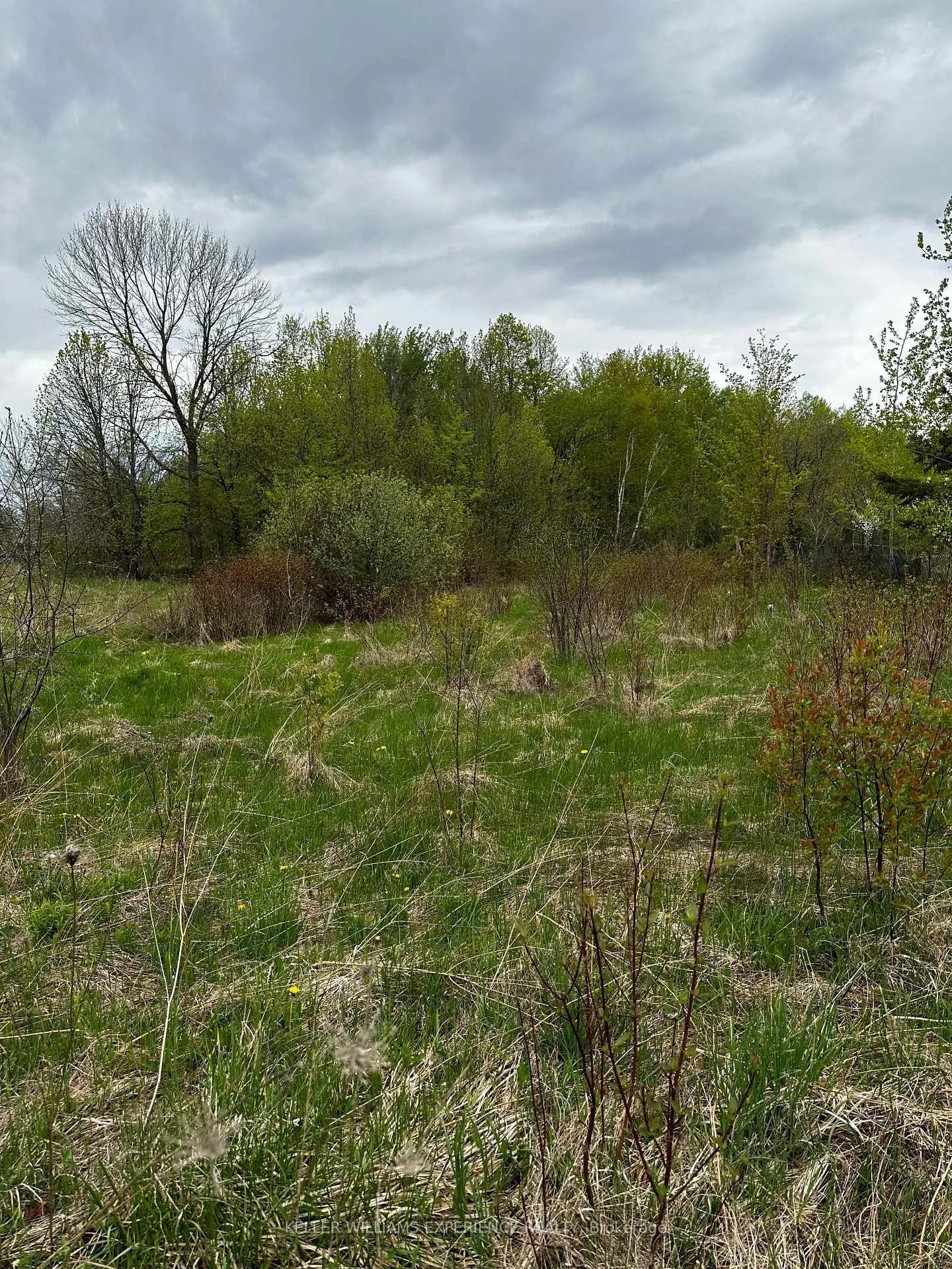 Photo 4 of PT 355 LT31 CON3 Nottawasaga, Clearview, Rural Clearview — HOMEH