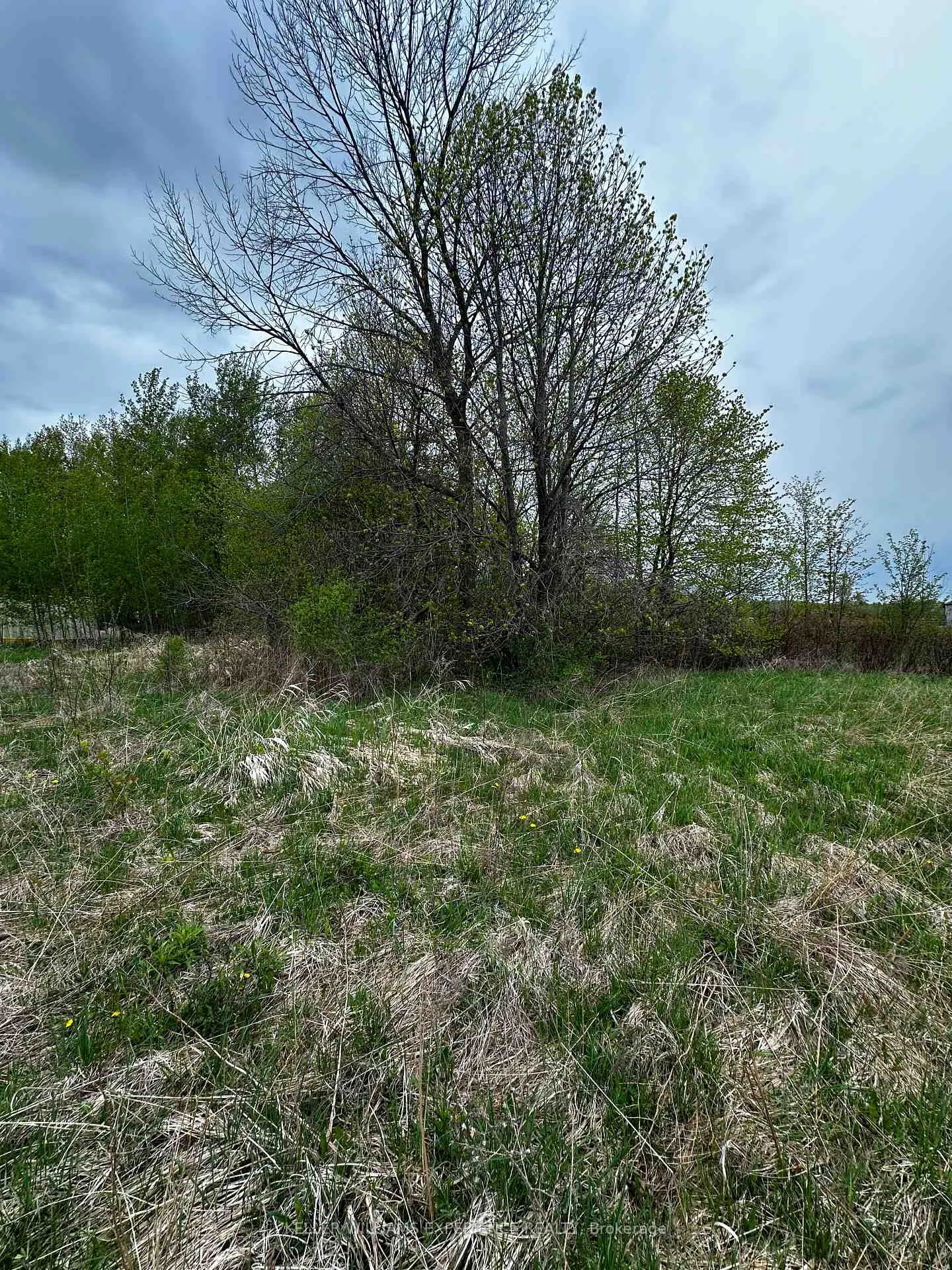 Photo 5 of PT 355 LT31 CON3 Nottawasaga, Clearview, Rural Clearview — HOMEH