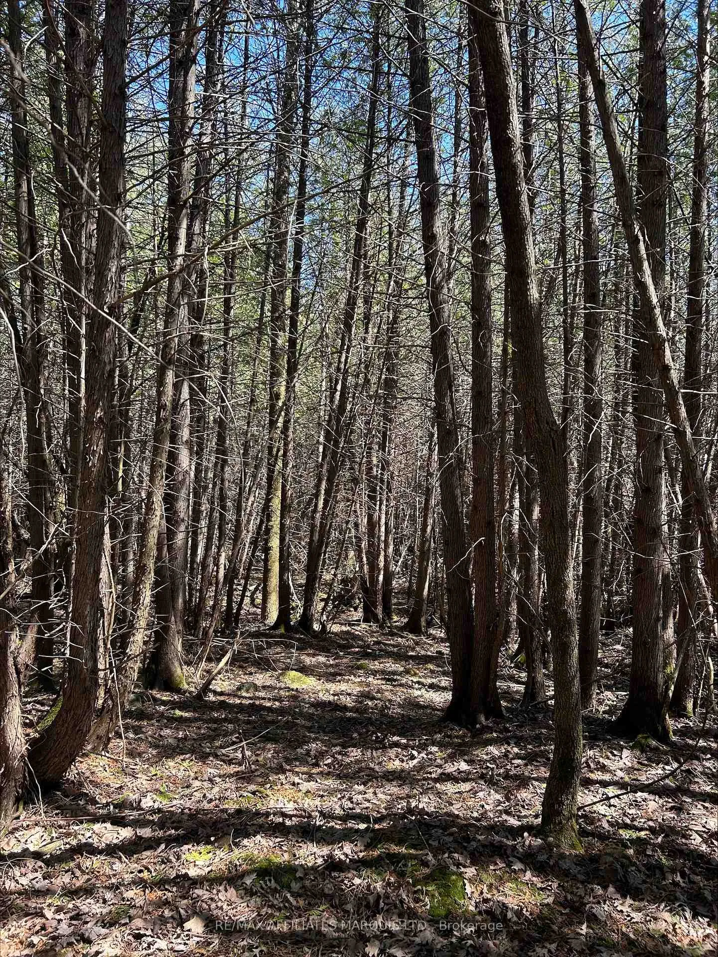 Photo 4 of LOT Chapel Hill Road, North Stormont, North Stormont (Roxborough) Twp — HOMEH