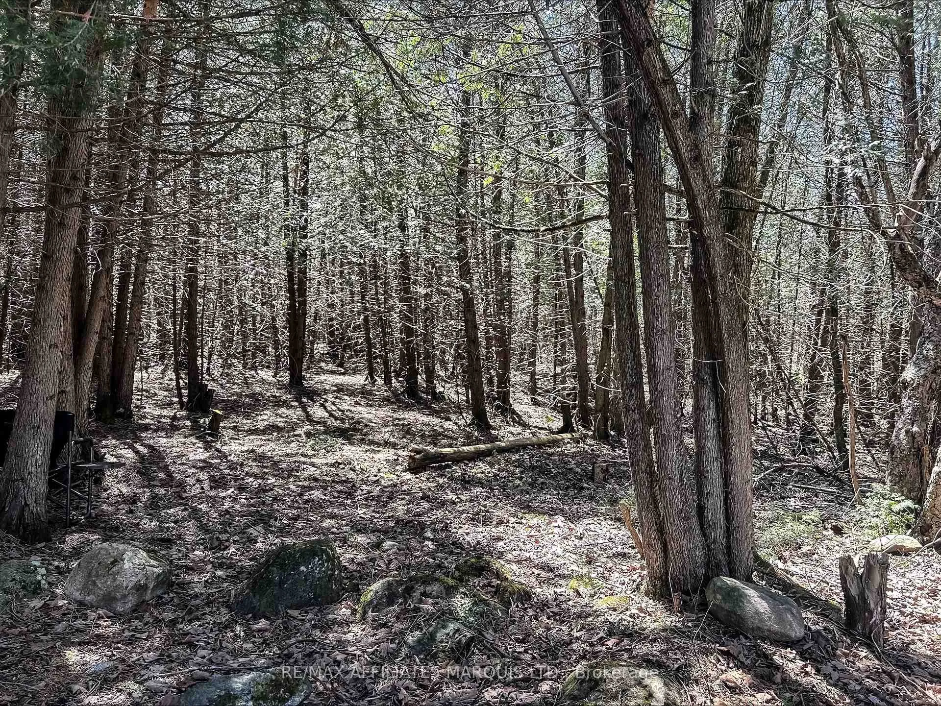 Photo 7 of LOT Chapel Hill Road, North Stormont, North Stormont (Roxborough) Twp — HOMEH