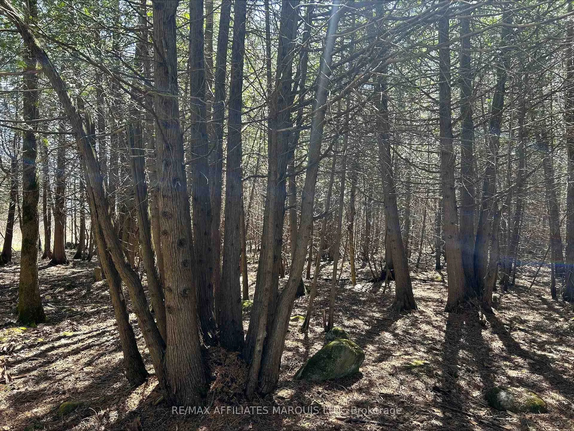 Photo 8 of LOT Chapel Hill Road, North Stormont, North Stormont (Roxborough) Twp — HOMEH