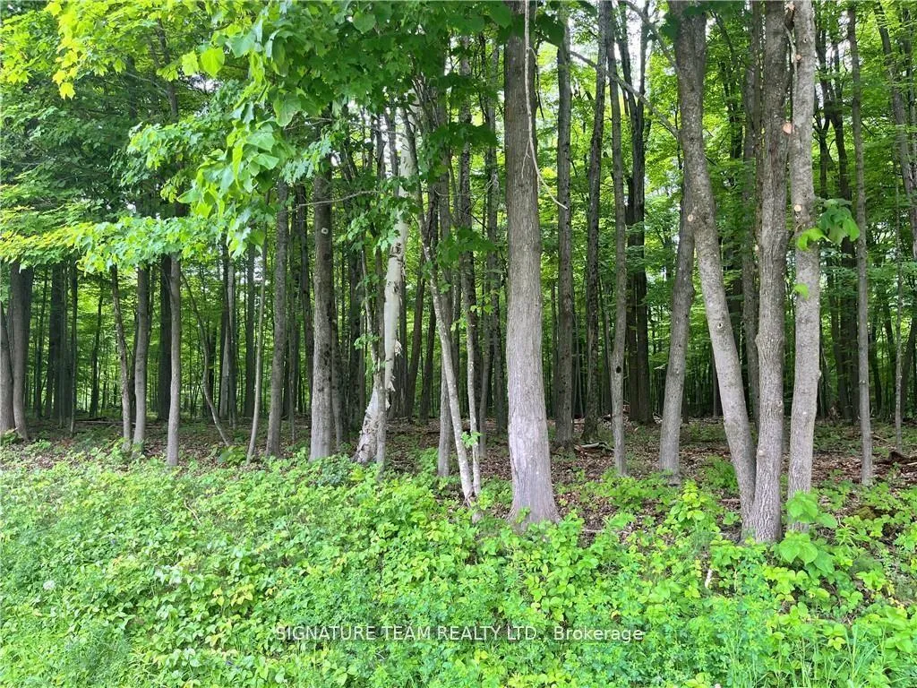 Photo 1 of Lot 1 Point Road, McNab/Braeside, Mcnab/Braeside Twps — HOMEH