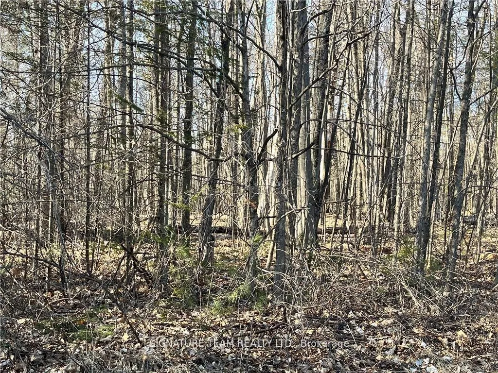Photo 2 of Lot 1 Point Road, McNab/Braeside, Mcnab/Braeside Twps — HOMEH