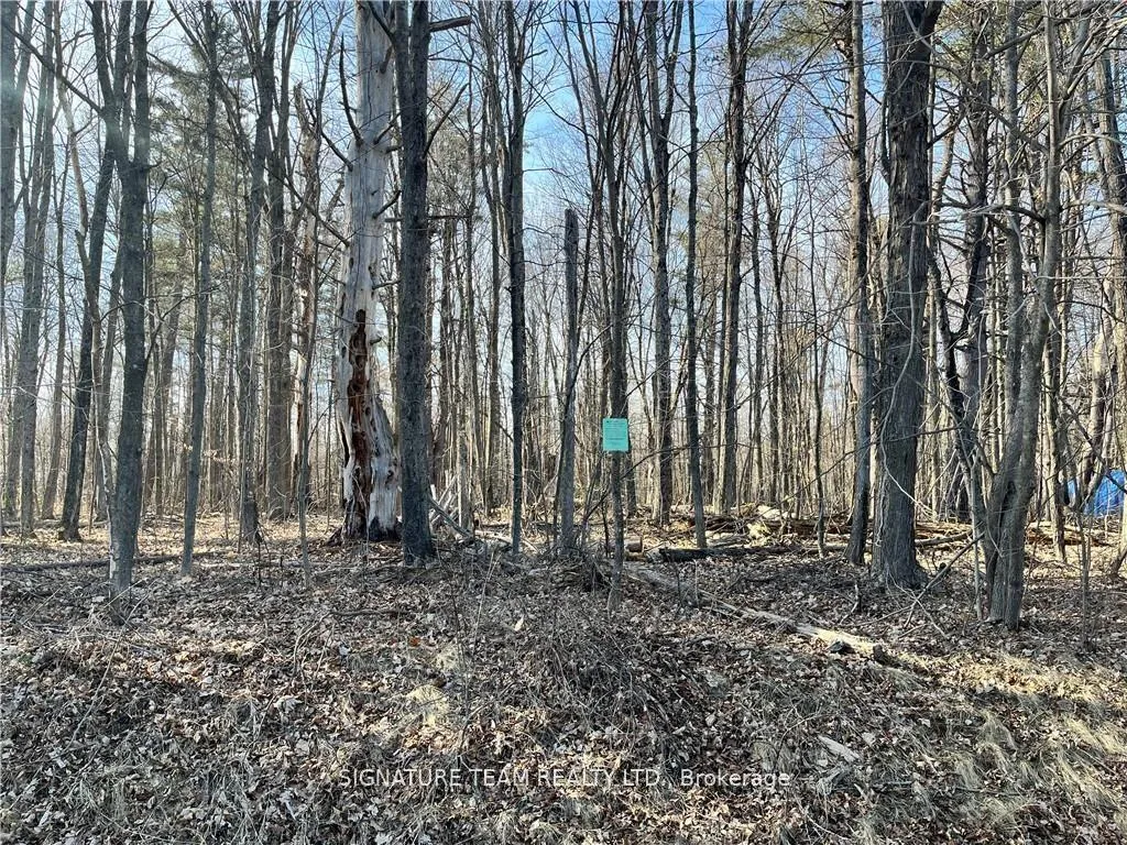 Photo 4 of Lot 1 Point Road, McNab/Braeside, Mcnab/Braeside Twps — HOMEH