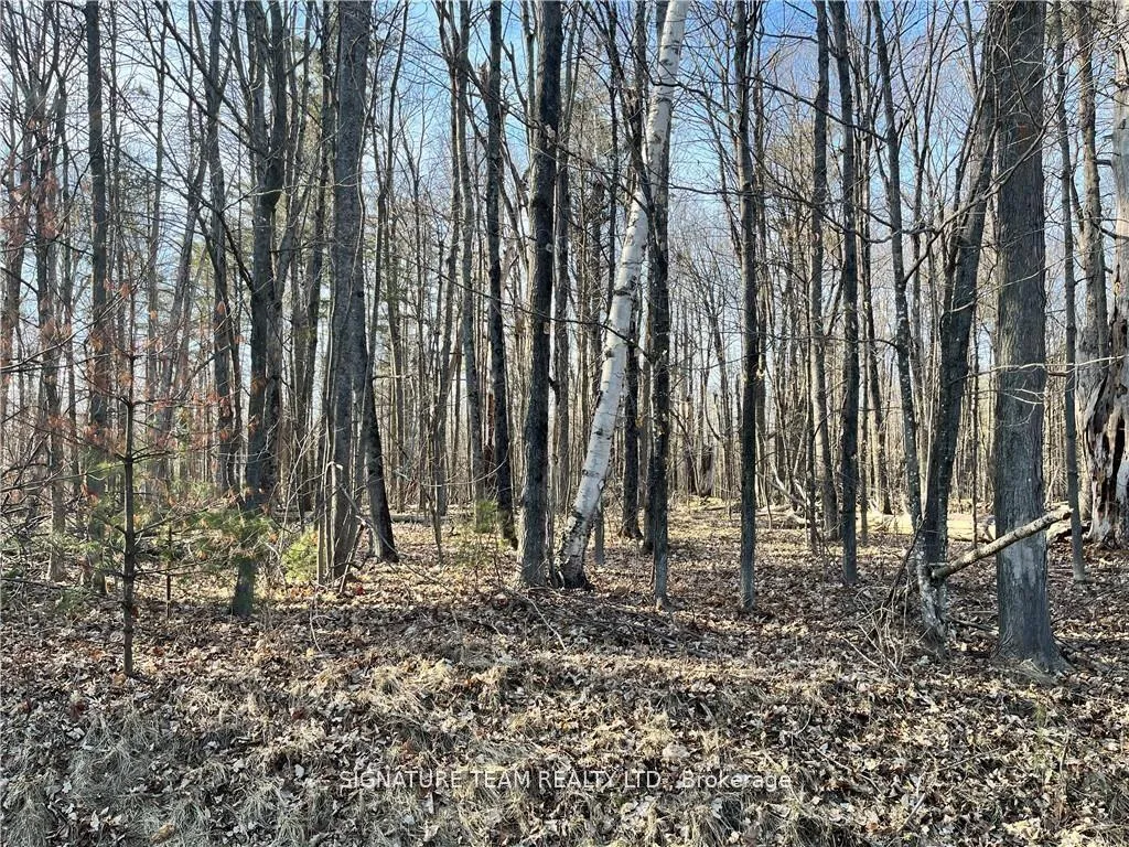 Photo 5 of Lot 1 Point Road, McNab/Braeside, Mcnab/Braeside Twps — HOMEH