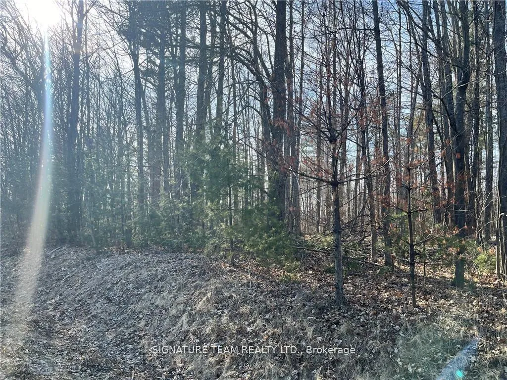 Photo 6 of Lot 1 Point Road, McNab/Braeside, Mcnab/Braeside Twps — HOMEH