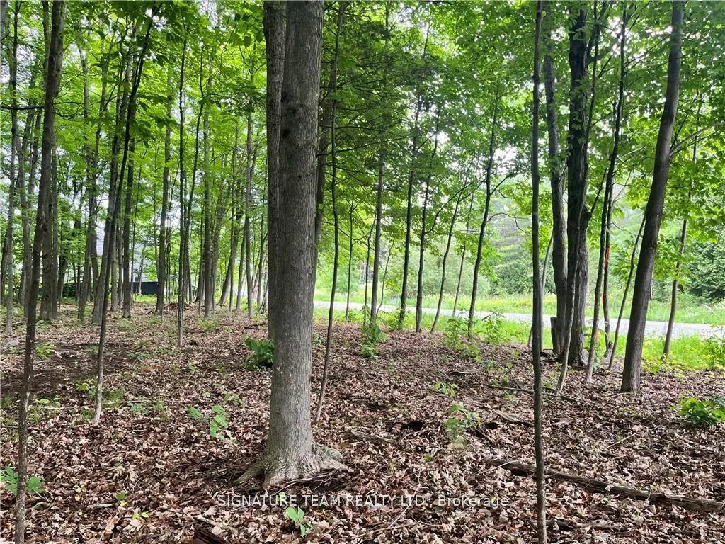 Photo 8 of Lot 1 Point Road, McNab/Braeside, Mcnab/Braeside Twps — HOMEH