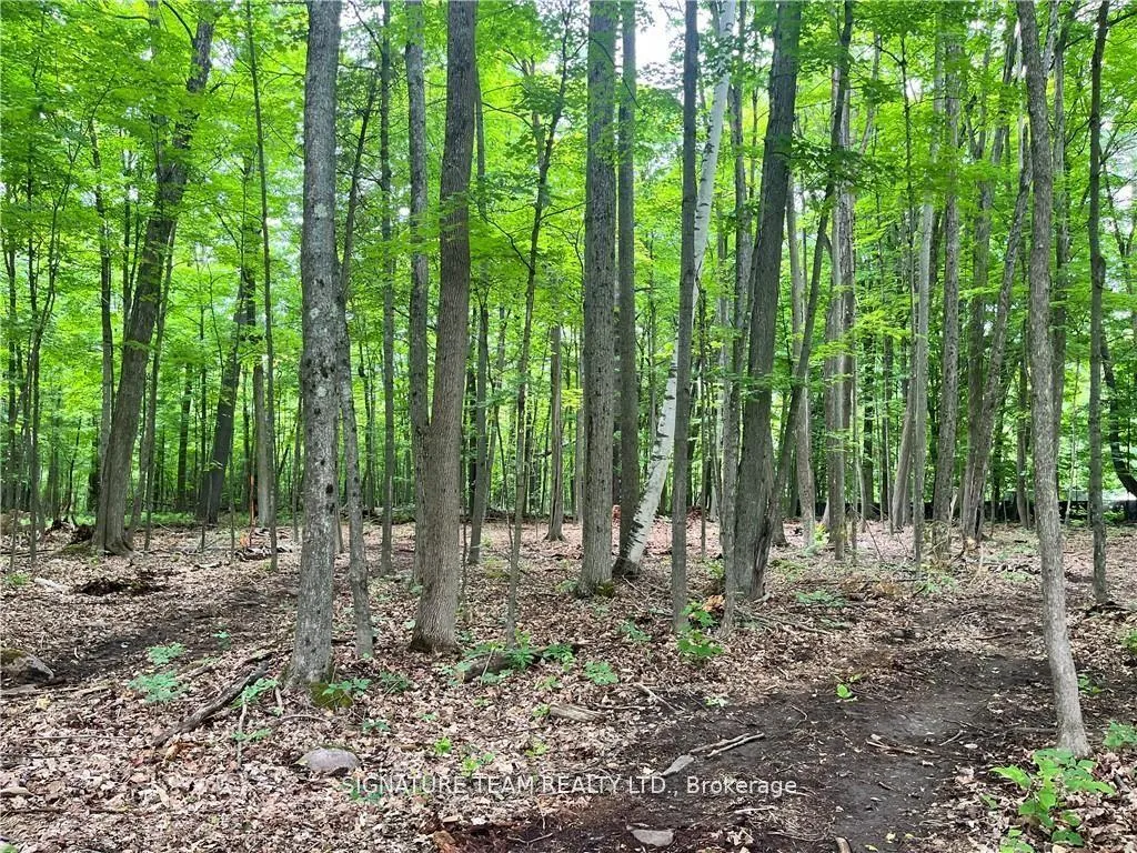 Photo 9 of Lot 1 Point Road, McNab/Braeside, Mcnab/Braeside Twps — HOMEH