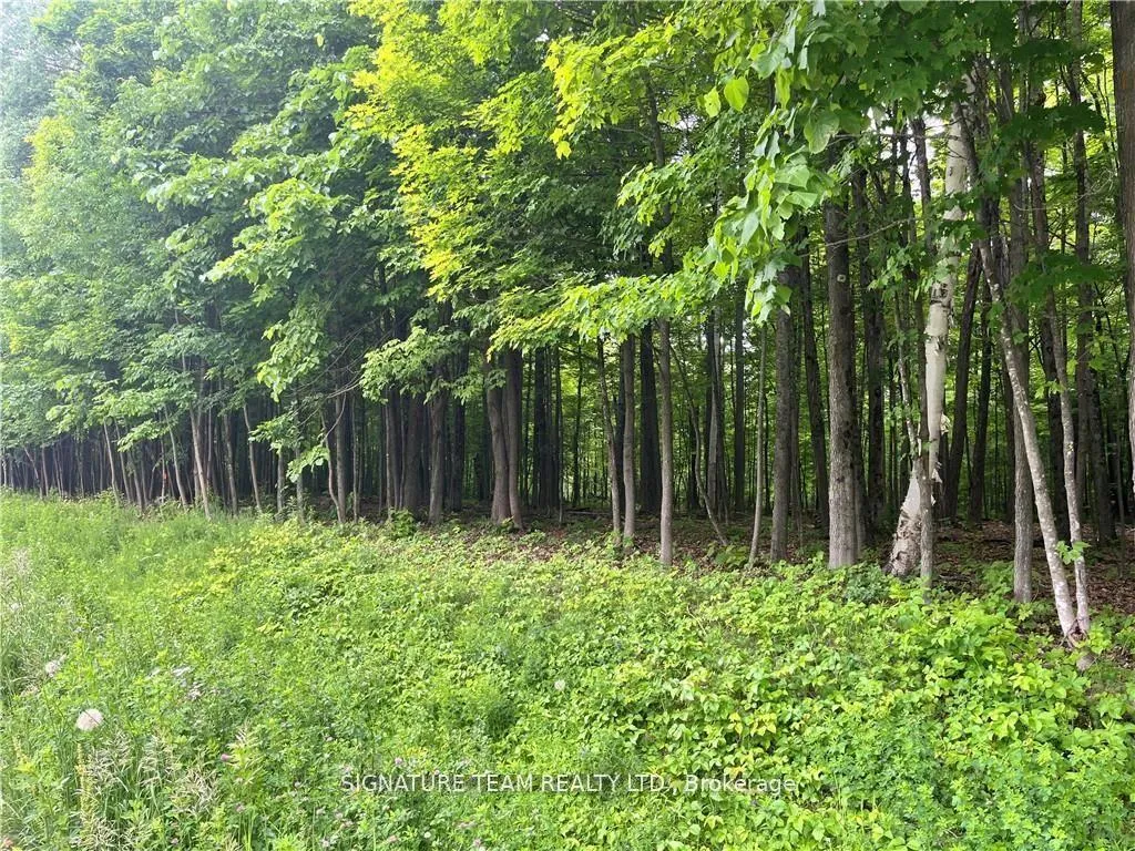 Photo 10 of Lot 1 Point Road, McNab/Braeside, Mcnab/Braeside Twps — HOMEH