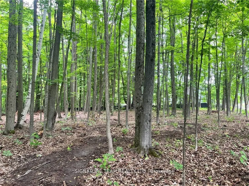 Photo 11 of Lot 1 Point Road, McNab/Braeside, Mcnab/Braeside Twps — HOMEH