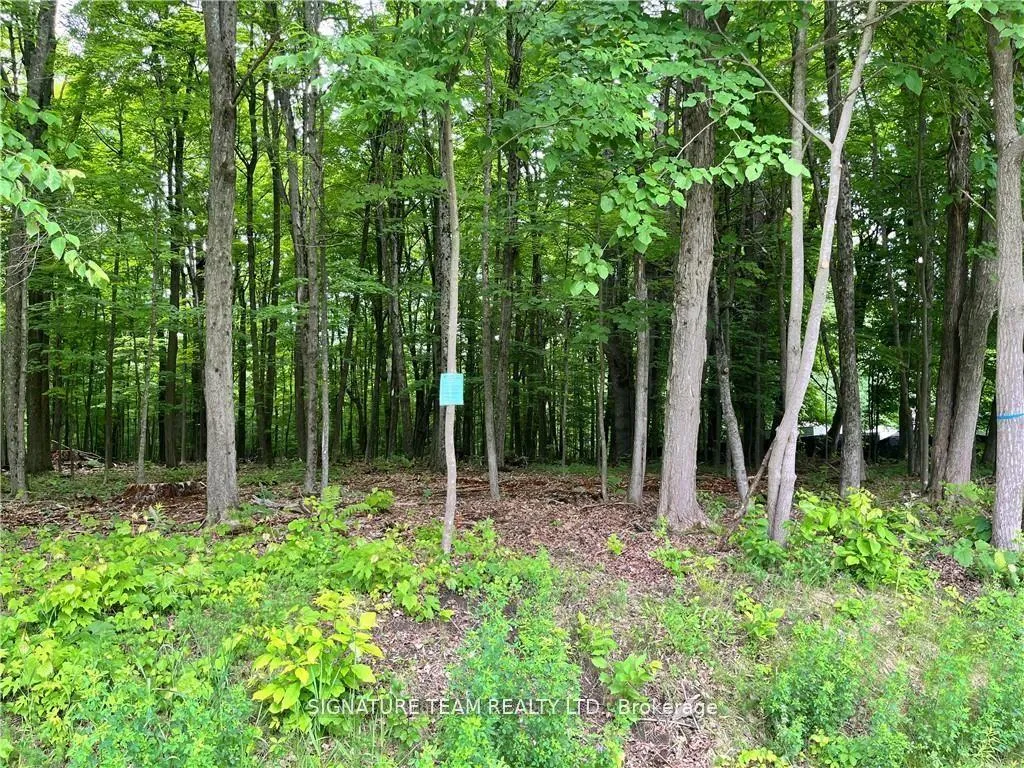 Photo 12 of Lot 1 Point Road, McNab/Braeside, Mcnab/Braeside Twps — HOMEH