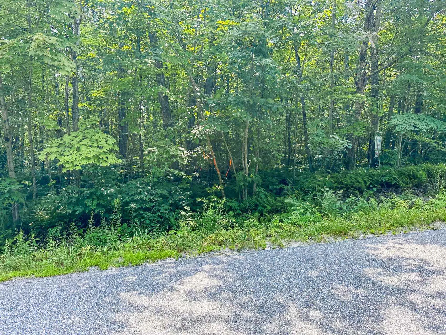 Photo 8 of (Part 1) 25 Long Lake Estates Road, McDougall — HOMEH