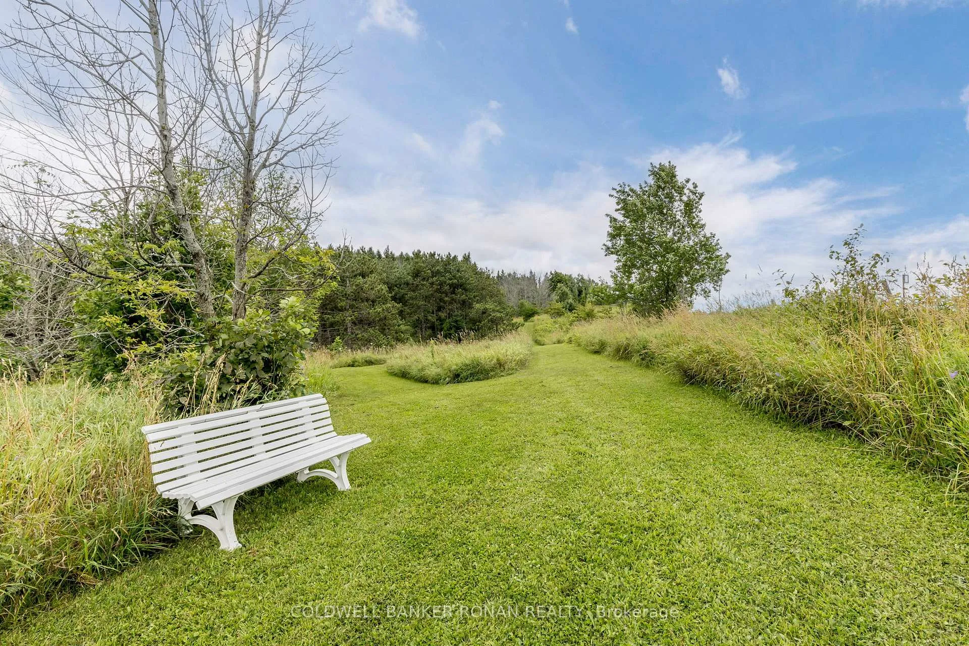 Photo 41 of 715380 1st Line EHS, Mono, Rural Mono — HOMEH