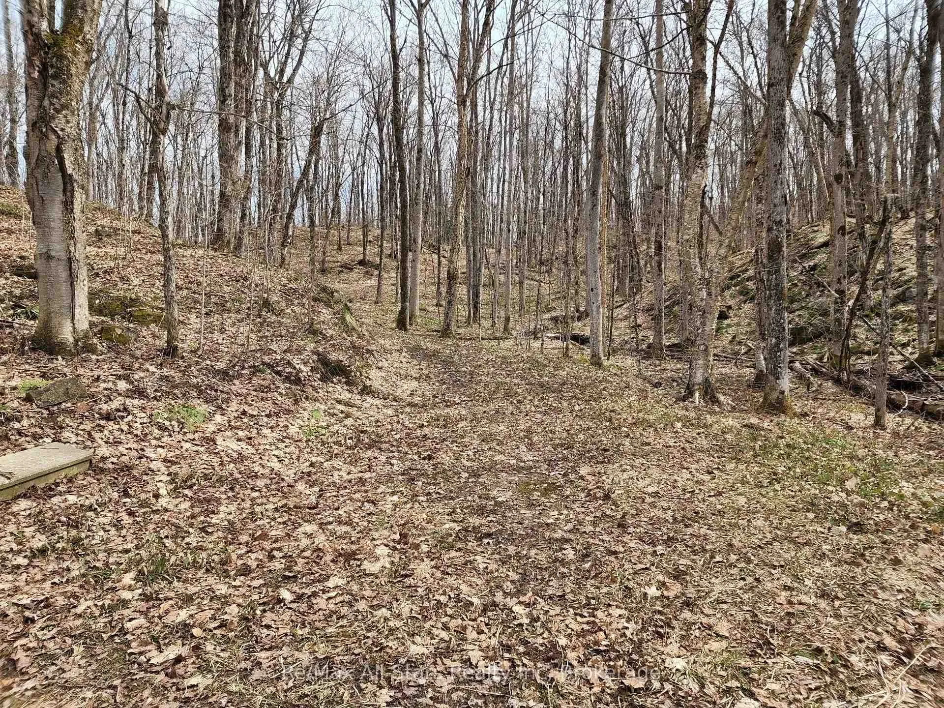 Photo 16 of Unit C, 781 Highway 520, Whitestone — HOMEH