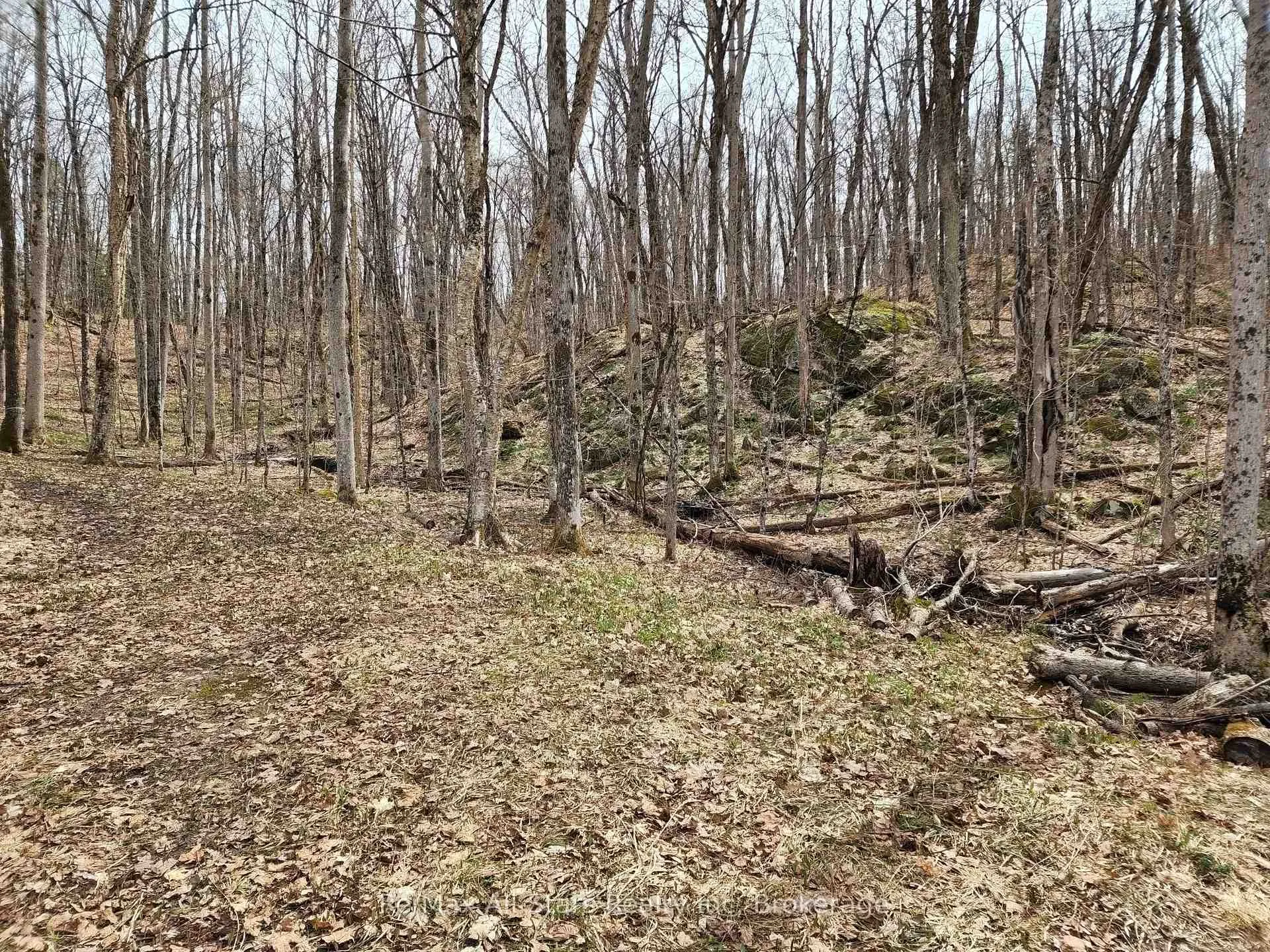 Photo 17 of Unit C, 781 Highway 520, Whitestone — HOMEH