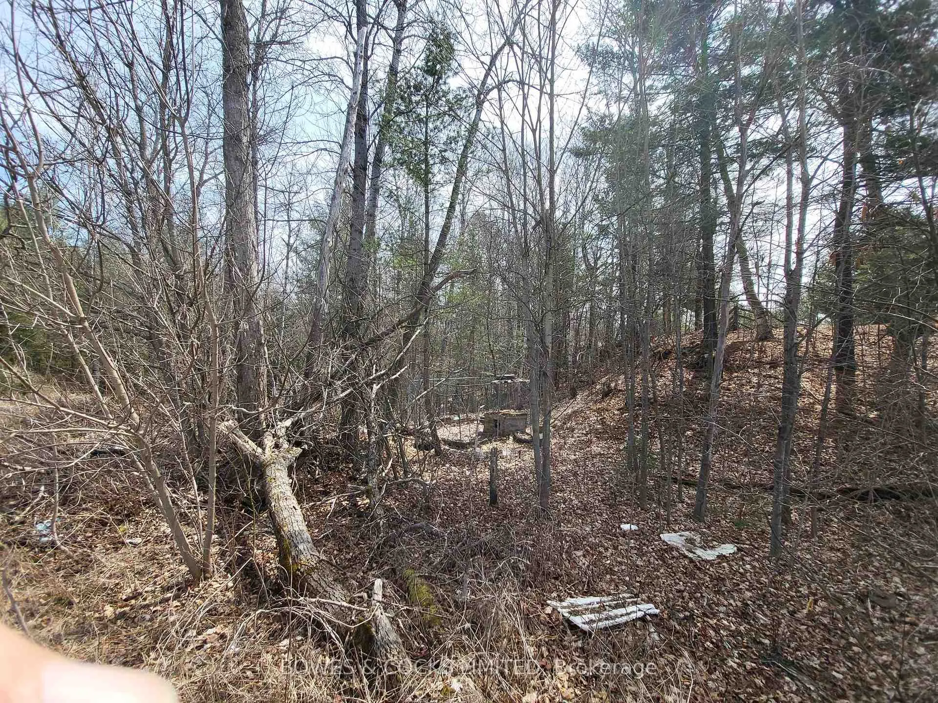 Photo 13 of 26642 Highway 62 S, Bancroft, Dungannon Ward — HOMEH